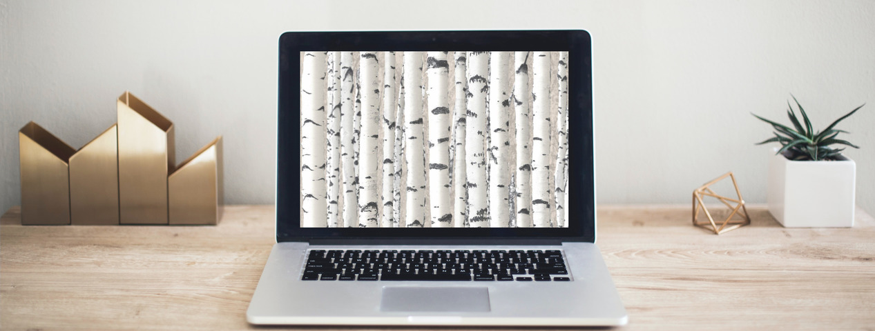 Призыв обеспечить независимость России от иностранного ПО | ИТ-компания +Альянс