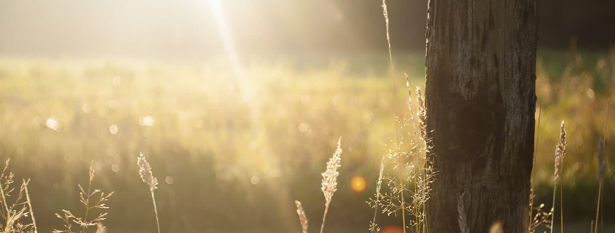 День 27-ой и 28-ой. 7 чудес света. | ИТ-компания +Альянс День 27-ой и 28-ой. 7 чудес света. | ИТ-компания +Альянс