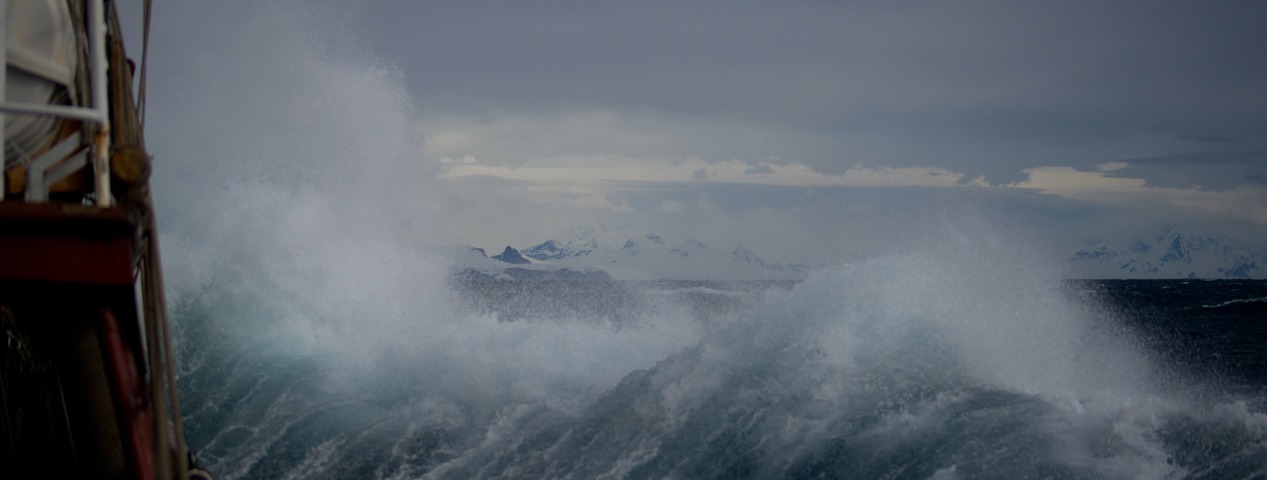 Выживание в VUCA-мире | ИТ-компания +Альянс