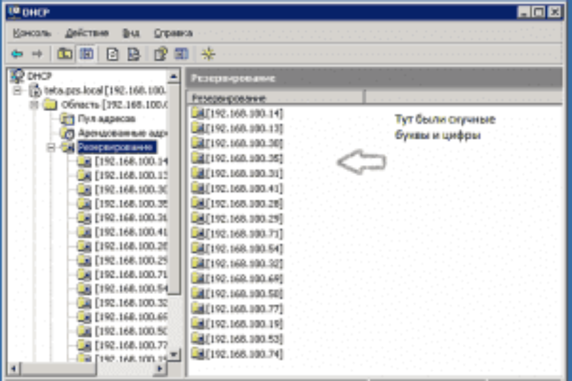 DHCP здесь больше не живет | ИТ-компания +Альянс