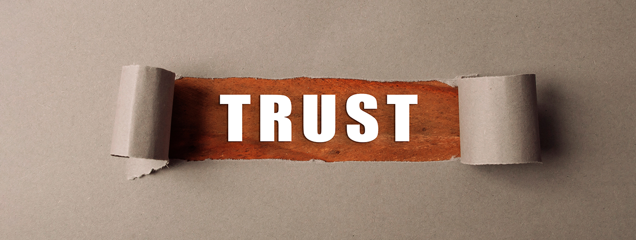 Почему важно правильно выбирать поставщика IT-услуг | ИТ-компания +Альянс