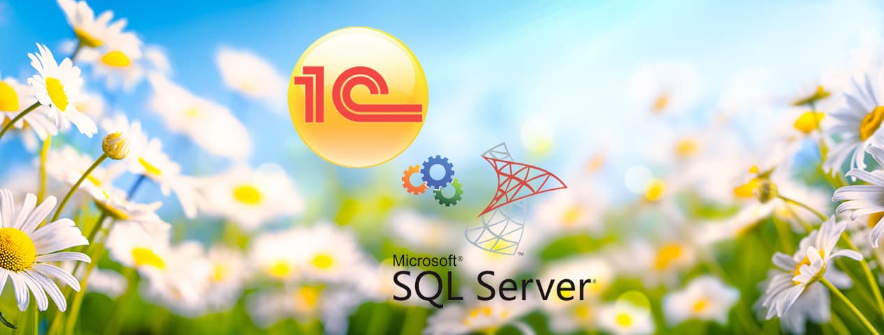 Обслуживание баз Microsoft SQL Server для работы 1С | ИТ-компания +Альянс
