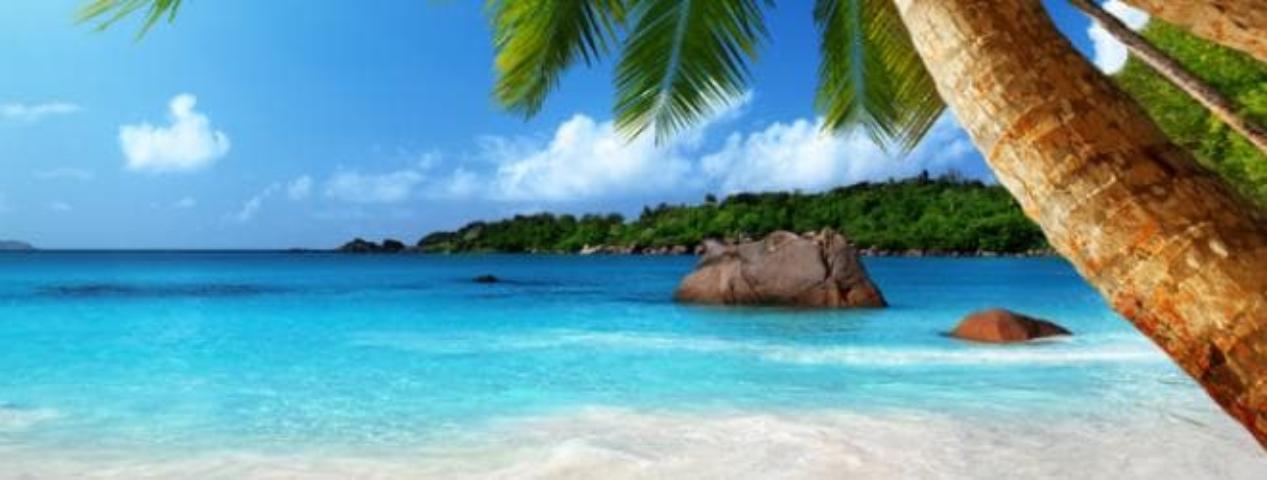 Три месяца в подарок! | ИТ-компания +Альянс