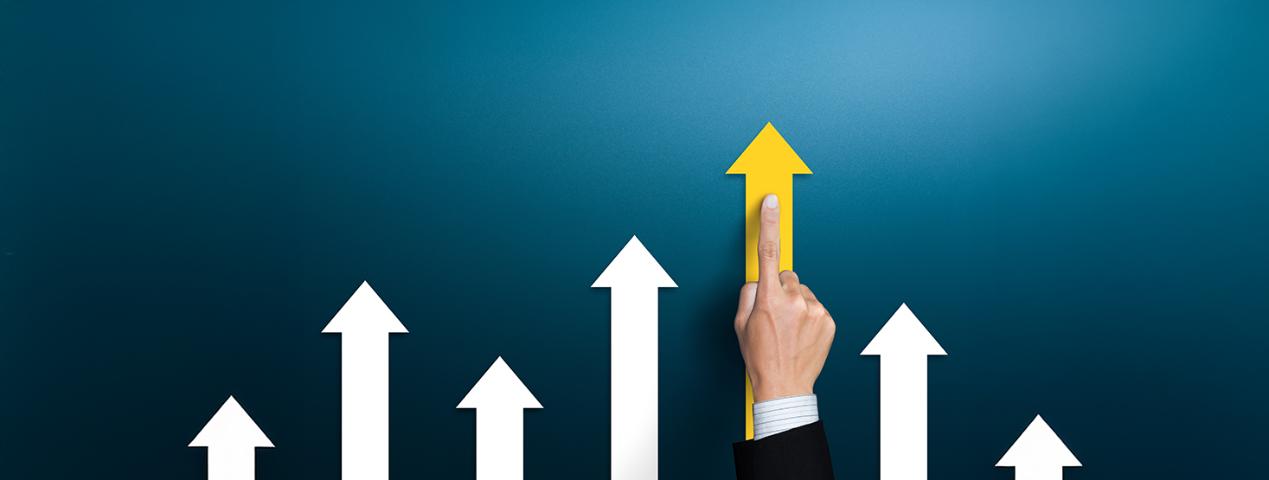 Преимущества использования бэкапа Яндекс 360 для образовательных учреждений | ИТ-компания +Альянс Преимущества использования бэкапа Яндекс 360 для образовательных учреждений | ИТ-компания +Альянс