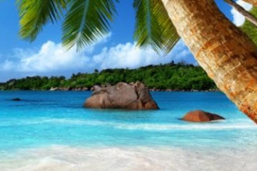 Три месяца в подарок! | ИТ-компания +Альянс