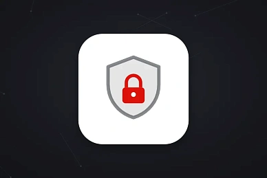 Информационная безопасность и защита данных