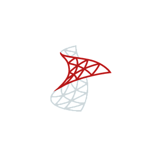 SQL Server 2025 Standard | +Альянс