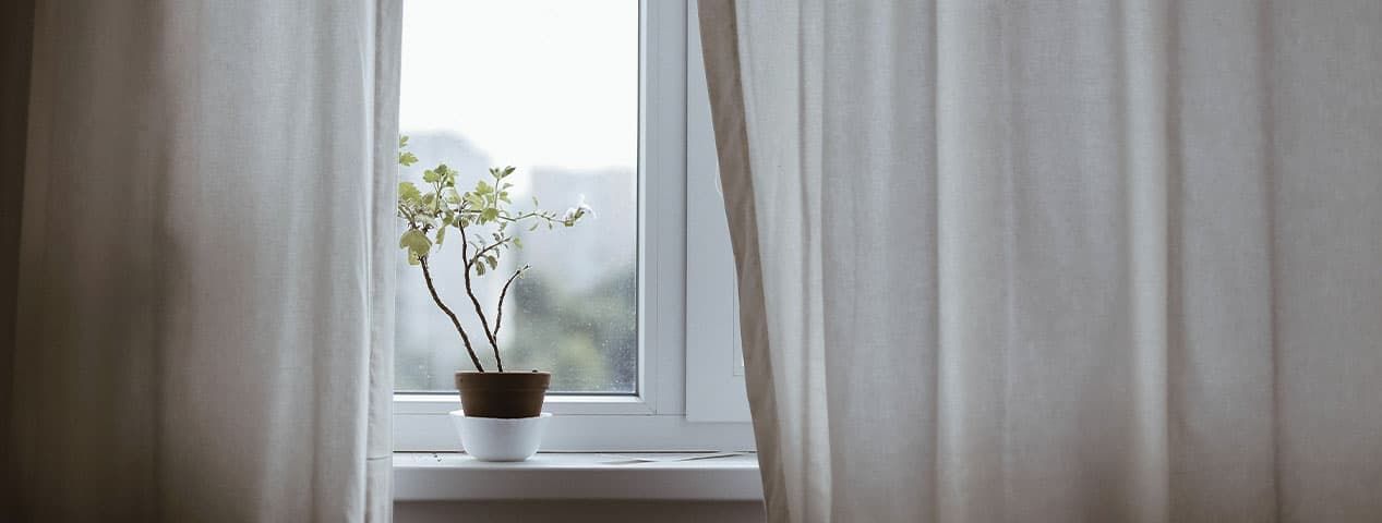 День 8-ой. О чём думаете вы, глядя в окно в изоляции? | ИТ-компания +Альянс День 8-ой. О чём думаете вы, глядя в окно в изоляции? | ИТ-компания +Альянс