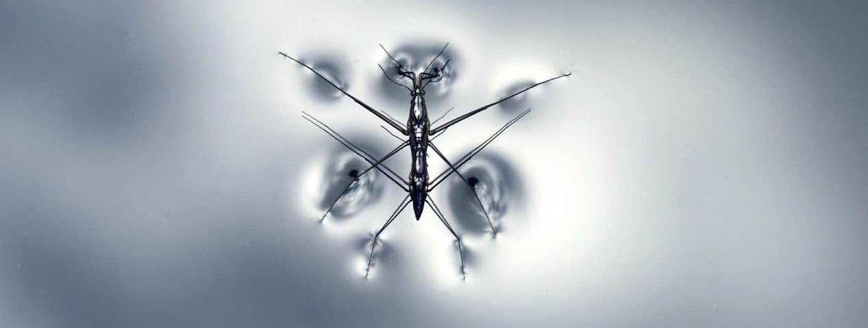 День 55-ый/56-ой. | ИТ-компания +Альянс День 55-ый/56-ой. | ИТ-компания +Альянс